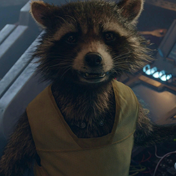 Rocket Racoon